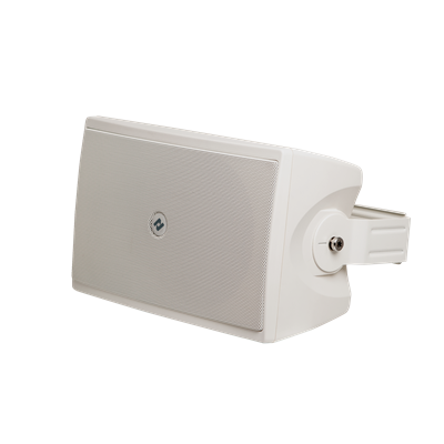 IP Cabinet Speaker w/Mic